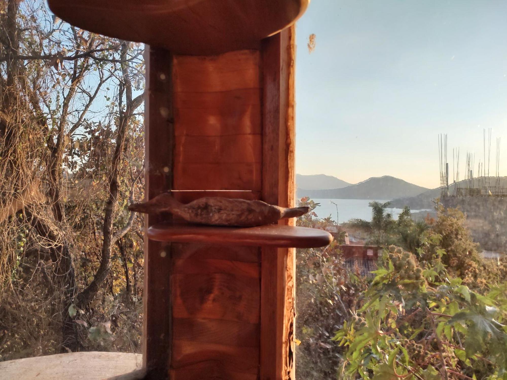 El Encinal De Las Flores Valle de Bravo Zimmer foto